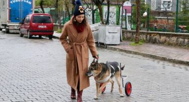 Patili Dostunu Yürüteçle Ayağa Kaldırdı