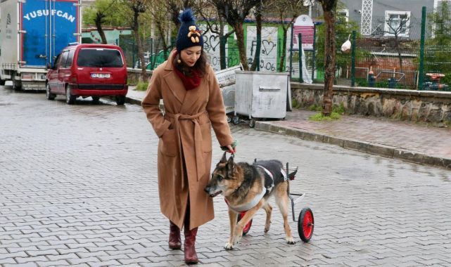 Patili Dostunu Yürüteçle Ayağa Kaldırdı