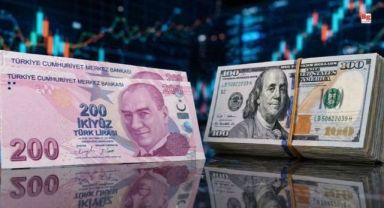 Döviz Piyasası