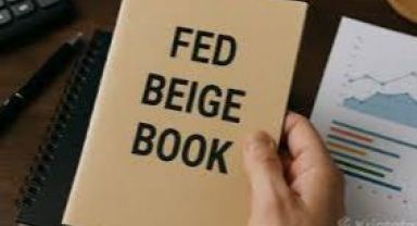 FED 