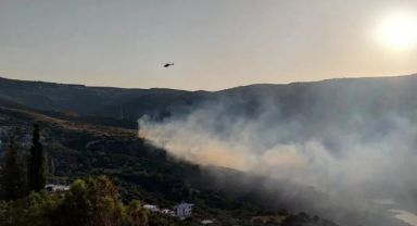Bornova Homeros Vadisi'ndeki Yangın Kontrol Altında