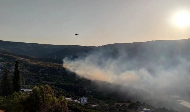 Bornova Homeros Vadisi'ndeki Yangın Kontrol Altında