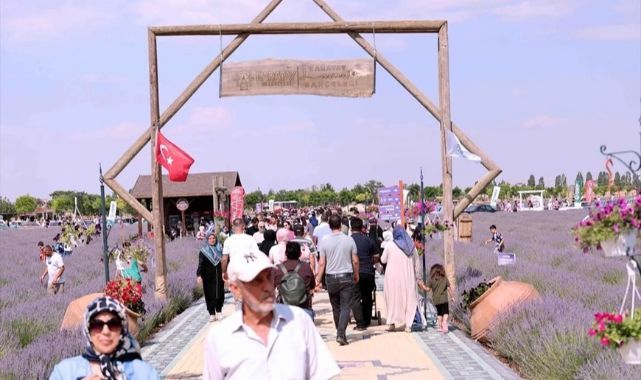 Geleneksel Karatay Lavanta Günleri