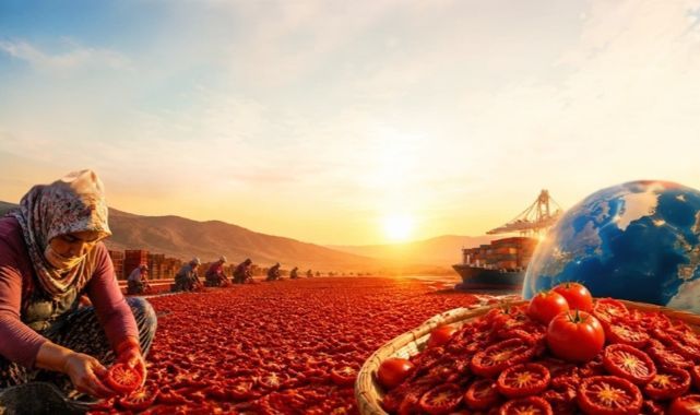 Kuru Domatesin Başkenti Torbalı