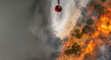 Manisa'da 15 Hektar Kül Oldu
