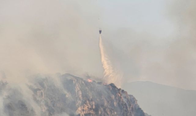 Pamukkale Yakınlarında Orman Yangını