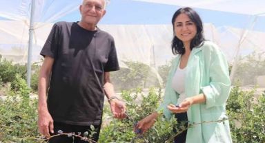 Urla'da Yepyeni Bir Başlangıç