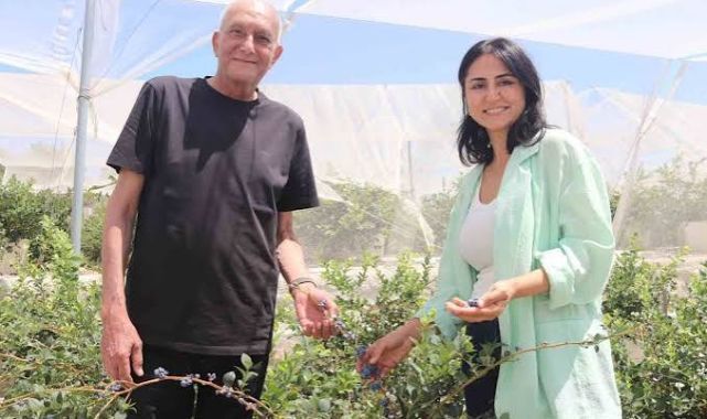 Urla'da Yepyeni Bir Başlangıç